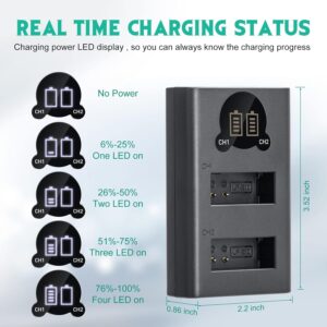Caisi Dual Type C Charger For Canon LP E12 Battery