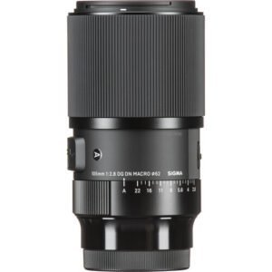 Sigma 105mm f/2.8 DG DN Macro Art Lens for Sony E Mount Full-Frame